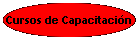 Cursos de Capacitacin